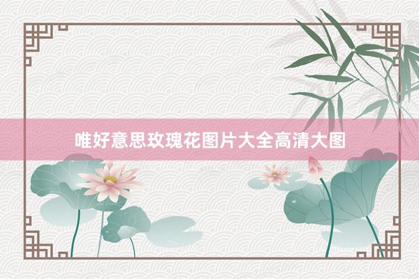 唯好意思玫瑰花图片大全高清大图