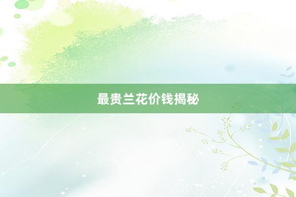 最贵兰花价钱揭秘