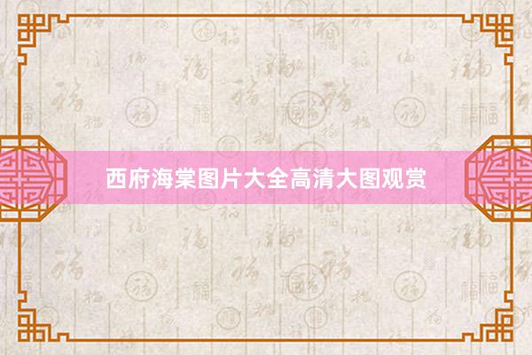 西府海棠图片大全高清大图观赏