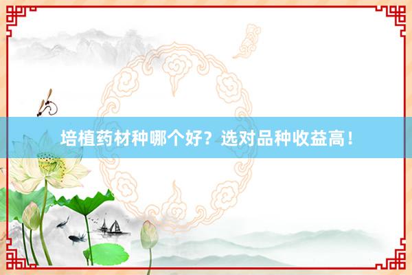 培植药材种哪个好？选对品种收益高！