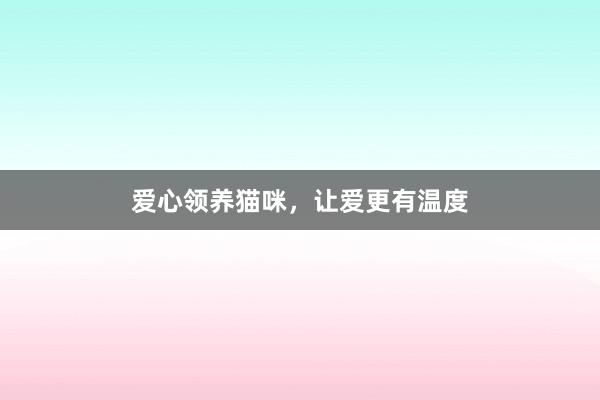 爱心领养猫咪，让爱更有温度